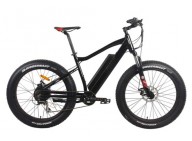 A Quote of Buying Two Electric Fat Tire Bike