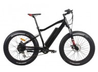 A Quote of Buying Two Electric Fat Tire Bike A Quote of Buying Two Electric Fat Tire Bike