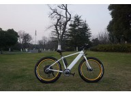 A quote of Fat Electric Bike 500w with hidden battery