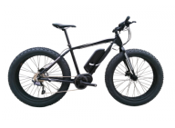 A quote of FAT Electric Bike with 8FUN Centre motor