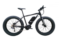 A quote of FAT Electric Bike with 8FUN Centre motor A quote of FAT Electric Bike with 8FUN Centre motor