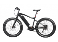 Reasons to Buy Electric Fat tire Bike