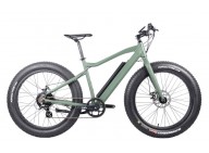 The success of cheap electric fat tire bikes The success of cheap electric fat tire bikes