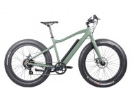The success of cheap electric fat tire bikes