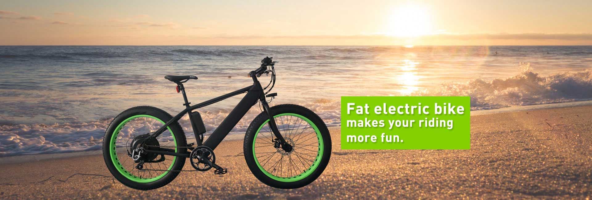 fat electric bike