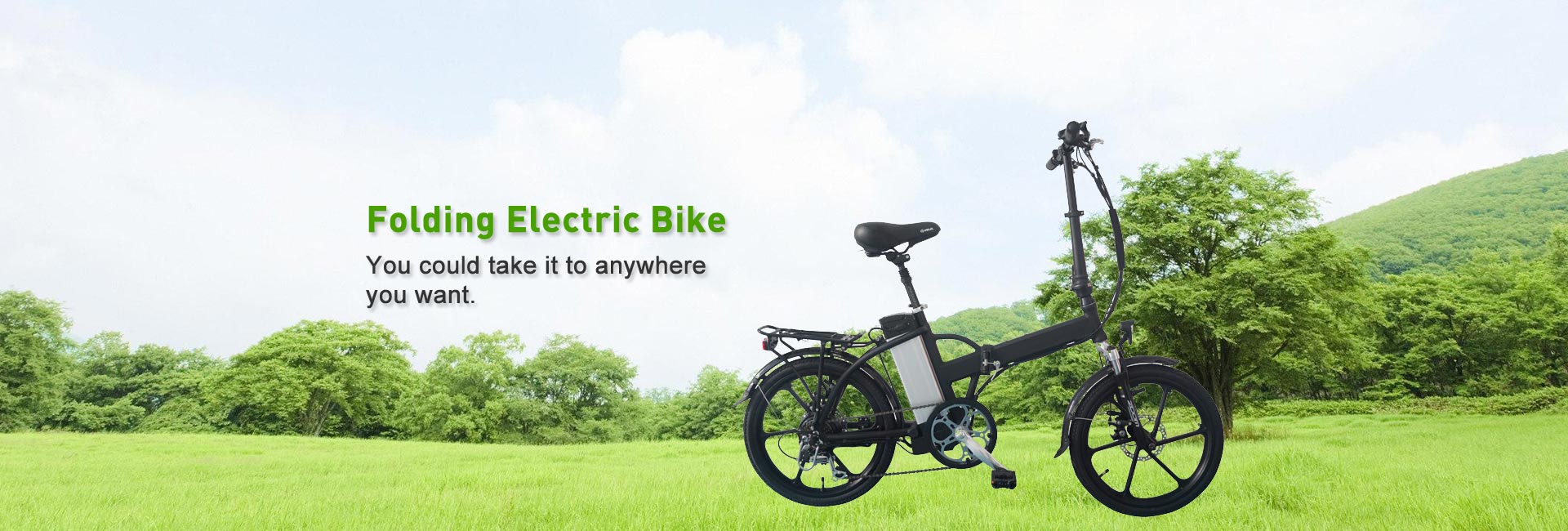 folding electric bike