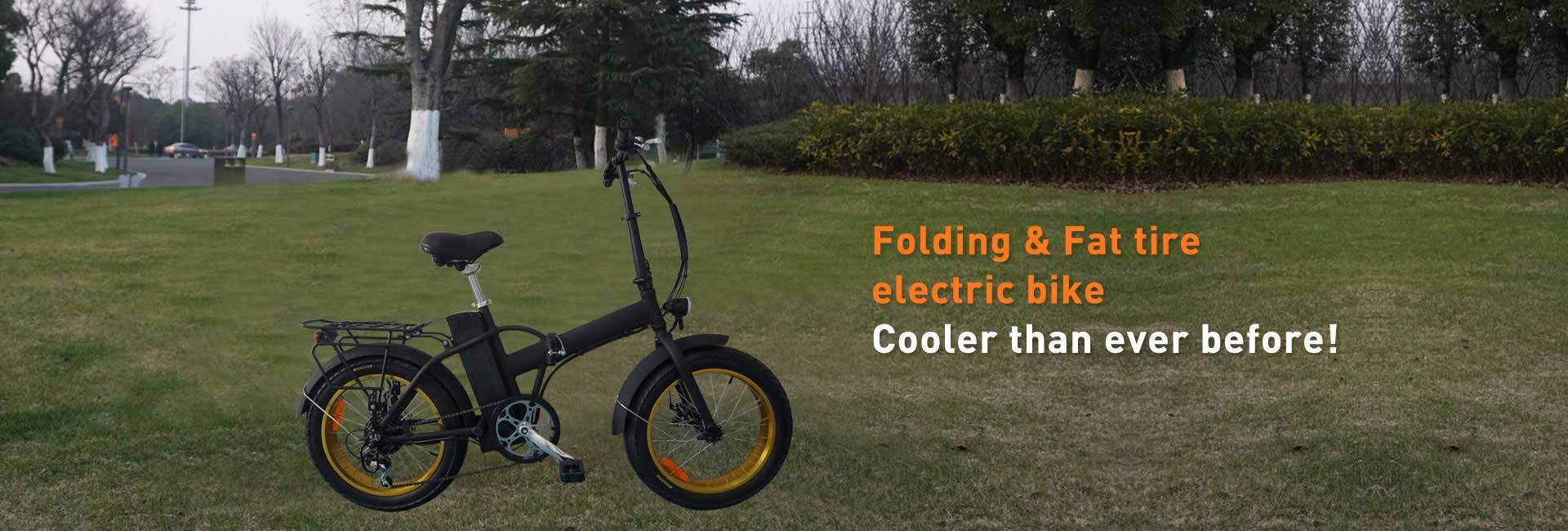 Fat tire electric bike