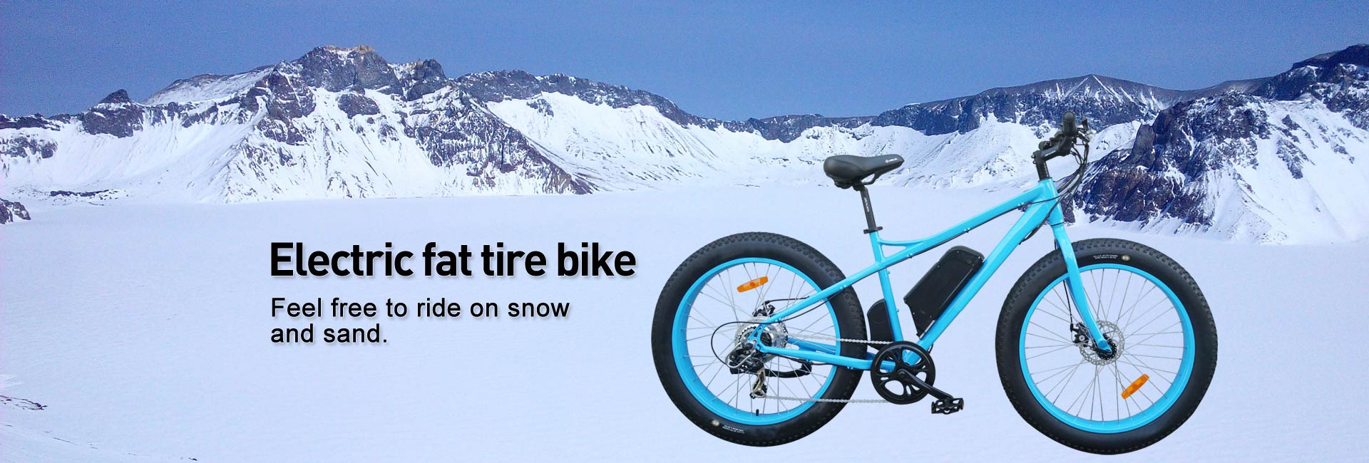 electric flat tire bike