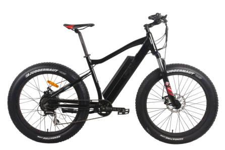 48V 500W Electric Fat Tire Bike