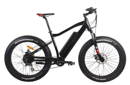 48V 500W Electric Fat Tire Bike, FAT07