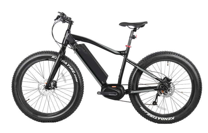 250w/350w Electric Fat Tire Bike, 8FUN MAX centre motor, FAT09