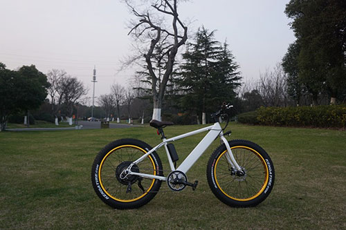 Fat Electric Bike 500w with hidden battery, FAT03