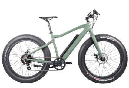 FAT Electric Bike 350W, FAT06