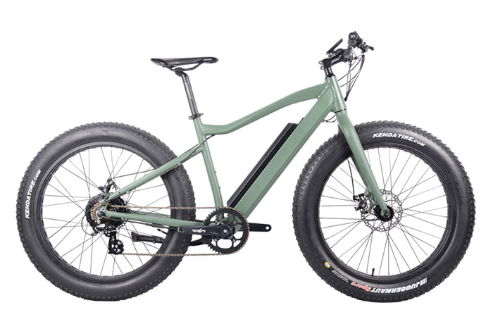 FAT Electric Bike