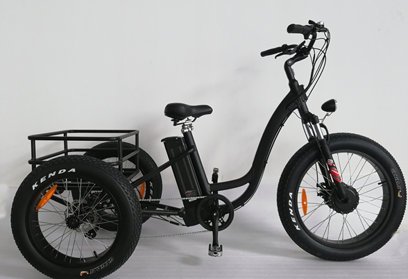 Electric Fat Tire Bike