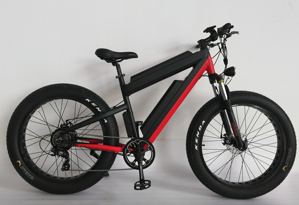 Fat Tire Electric Bike Fat Tire Electric Bike