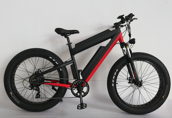 Fat Tire Electric Bike